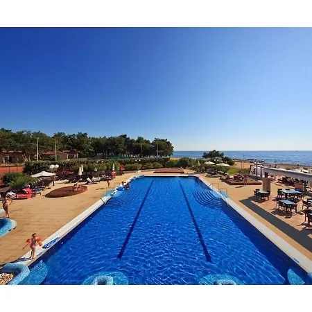 In With Swimming Pool *